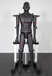 OTA 全人體模型 POPEYE10